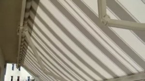 видео маркиза локтевая