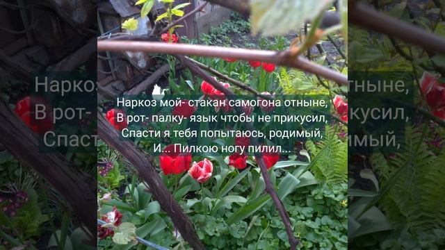 Памяти дедушки смотреть онлайн