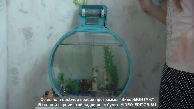 Как почистить аквариум у рыбки. Немо. Я Larina/ смотреть онлайн
