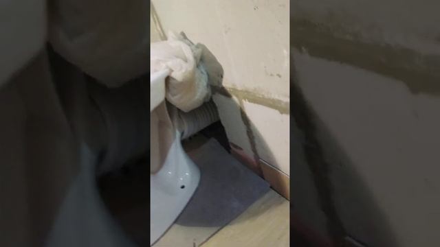 Унитаз. Неужели?)) смотреть онлайн