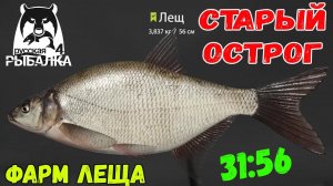 ФАРМ ДЛЯ НОВИЧКА НА ЛЕЩЕ НА СТАРОМ ОСТРОГЕ В РУССКОЙ РЫБАЛКЕ 4 РР4
