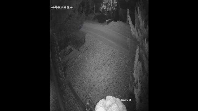 Пример записи камеры 1MP уличной ночь 1