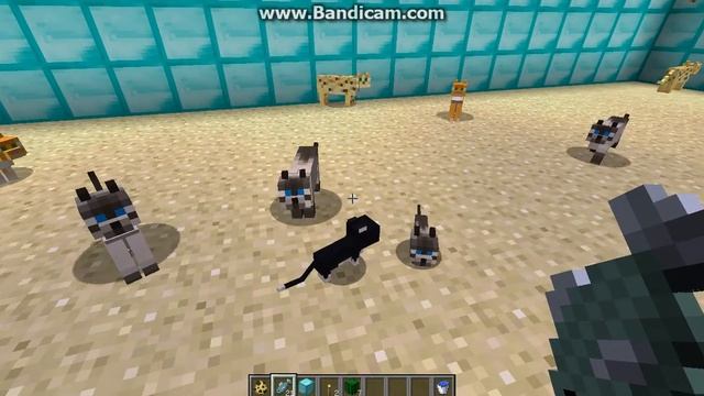 как приручить оцелота!!! смотреть онлайн