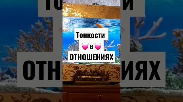 Учитесь принимать подарки! смотреть онлайн