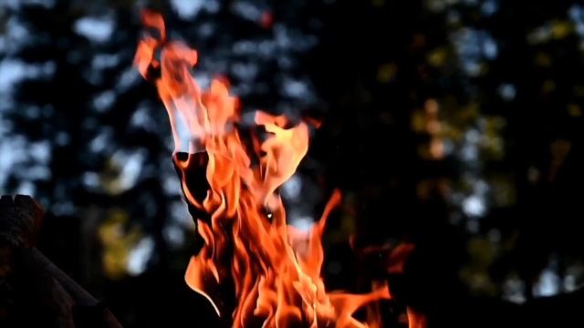Лев Казарновский “Воспоминания” на музыку Альфреда Шнитке. смотреть онлайн