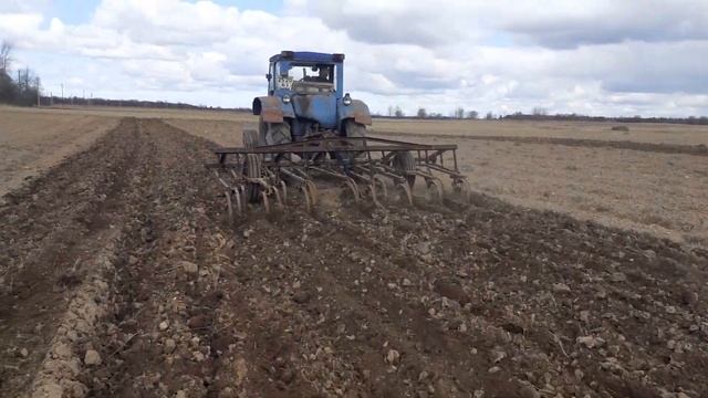 Мтз 52 в работе с культиватором КПС-4. смотреть онлайн