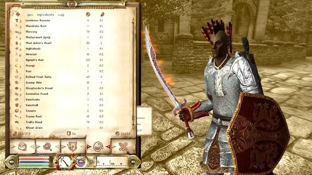 Let's Roleplay Oblivion - Part 210: The Hero At Home