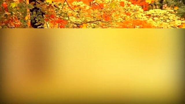 Осенние футажи hd смотреть онлайн