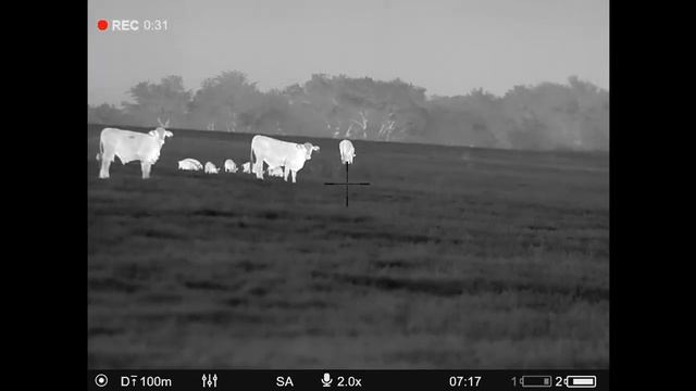 Hog Hunting with a Thermal Drone! смотреть онлайн