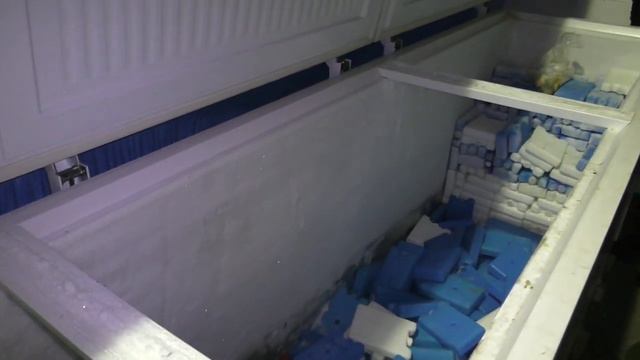 Подпольное производство краба накрыли во Владивостоке