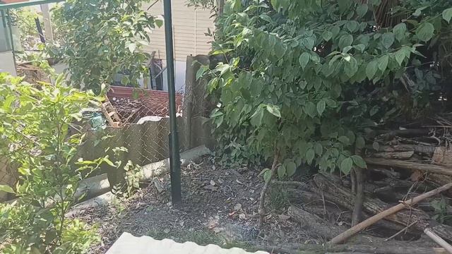 Гламурный огород :-) смотреть онлайн