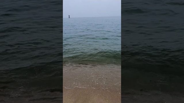 Японское море/Восточное море (Каннын, Южная Корея) смотреть онлайн