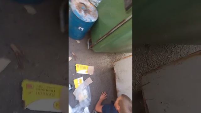 мини штребух