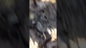 Замена прокладок впускного коллектора на Форд фокус 1.6. 100л.с