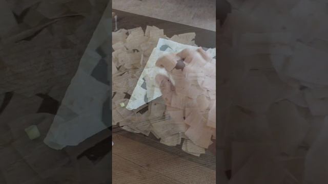 конвертики из лаваша. вкусные пирожки из лаваша. рецепт смотреть онлайн