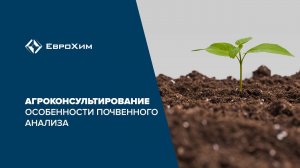 Агроконсультирования. Особенности почвенного анализа