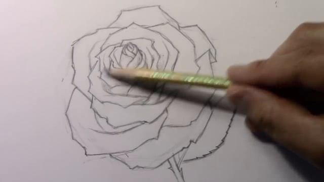 How to Draw a Rose (and Add Color) смотреть онлайн