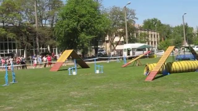 Денисенко Наталья и бордер колли Анчу аджилити А2 смотреть онлайн