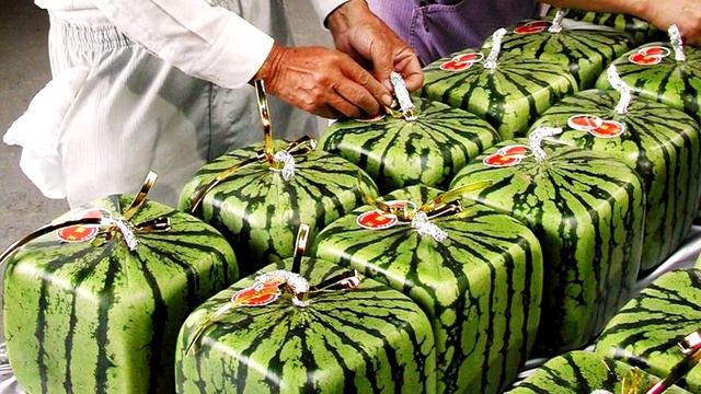 Чтобы удивить детей, женщина купила квадратный арбуз, и разочаровалась смотреть онлайн