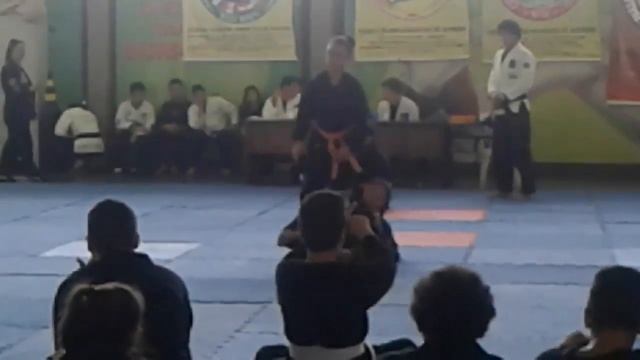 Hapkido ACMVRO(7)