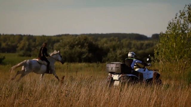 Конь против квадроцикла смотреть онлайн