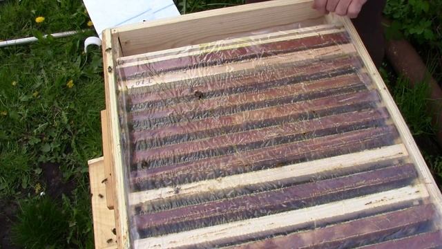 Обзор нового улья спустя два месяца после заселения. Доработки в улье.