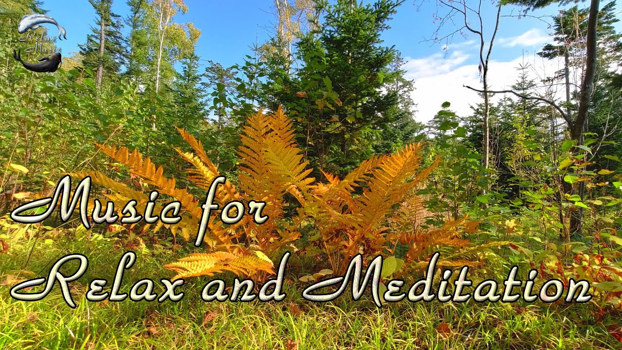 1 час спокойной музыки на фортепиано для Отдыха, Йоги, Массажа, Спа смотреть онлайн