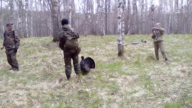 Близкое общение с глухарем смотреть онлайн