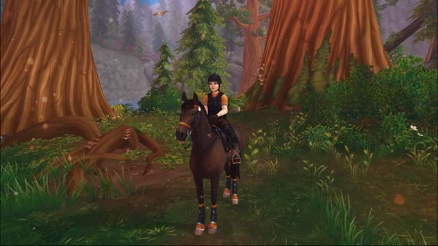 Советы Новичкам на Соревнования в |Star Stable Online|