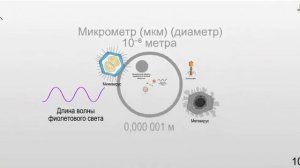 Размер от квантовой пены до Вселенной