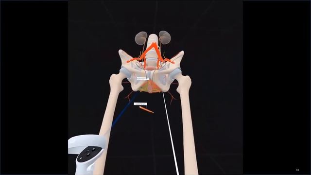 Webinar: An Integrated Approach To Teaching Clinical Anatomy - Virtual Reality, Models And Cadavers