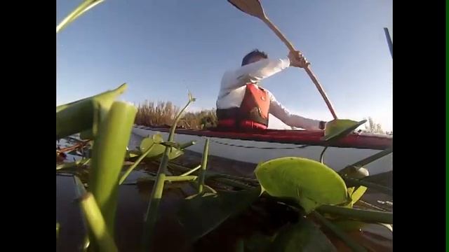 Kayak 25/5/14 смотреть онлайн