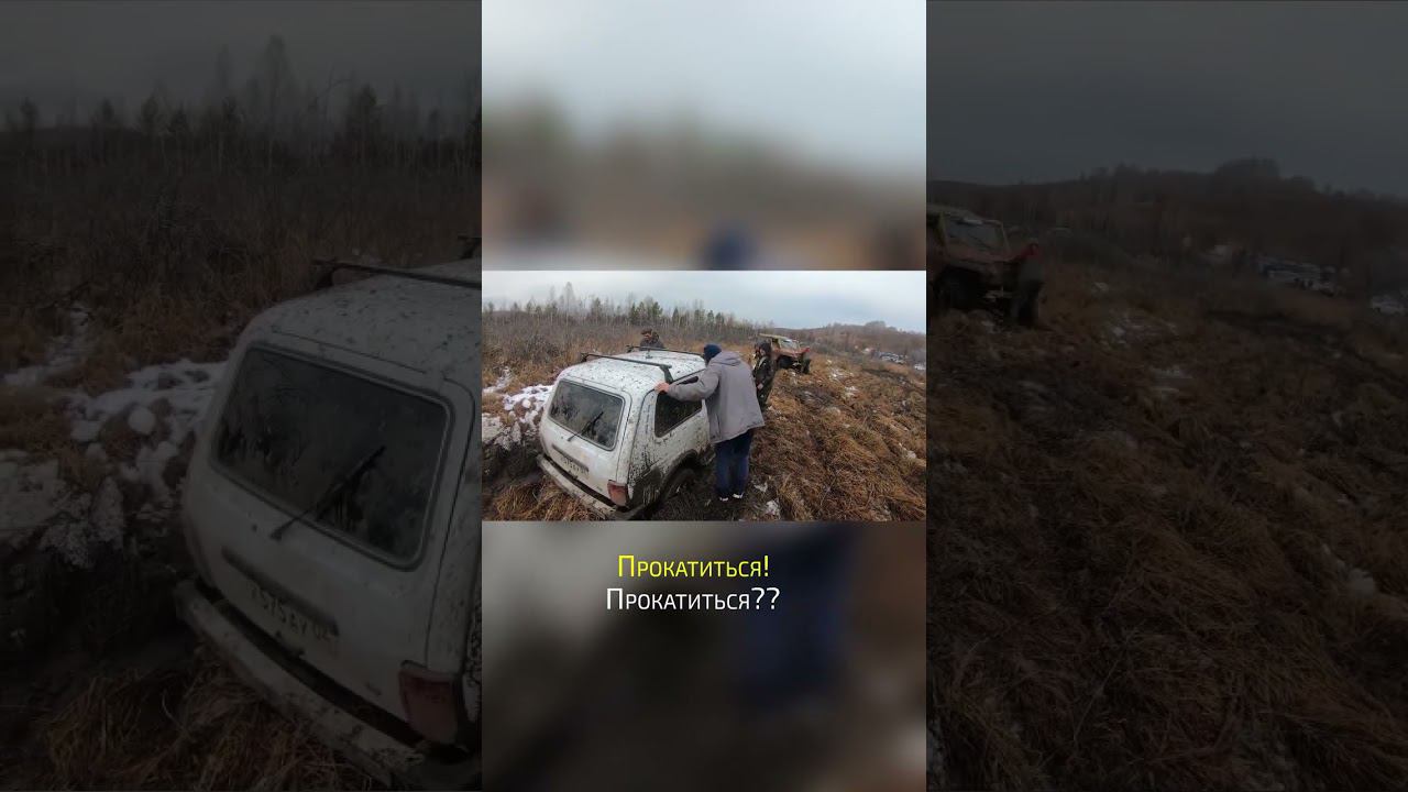 Возник вопрос #4x4 #offroad #shorts #НаДжипе #offroad4x4 #алтай4х4 смотреть онлайн
