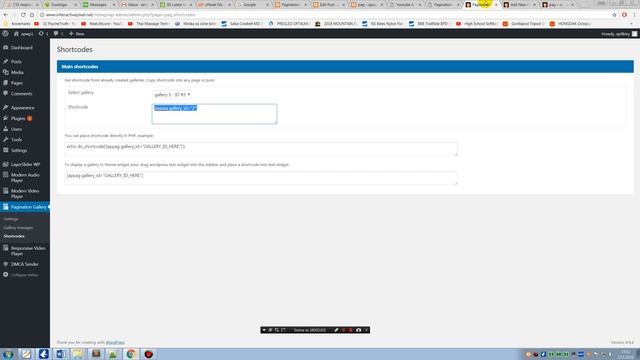 Youtube & Vimeo Pagination Gallery creating gallery смотреть онлайн