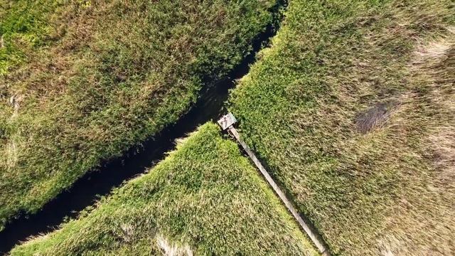 Country time/отдых в деревни #mini #minicooper #cooper #countryman смотреть онлайн