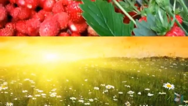 Лето Жара Июнь смотреть онлайн