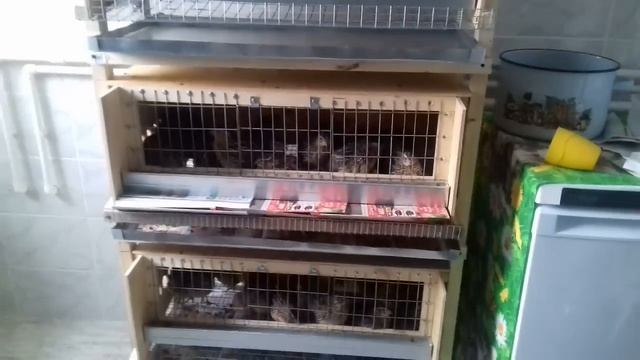 Творчество и Техники