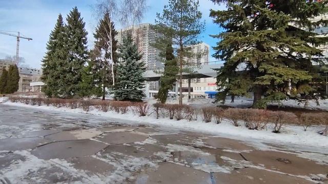 Аренда помещения свободного назначения площадью 5000 кв. м на ул 9-я Парковая м Щелковская смотреть онлайн