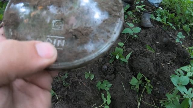 Вторая поездка в Калининград! Совместный коп с каналом @SHMURDYAK39 !!!! смотреть онлайн