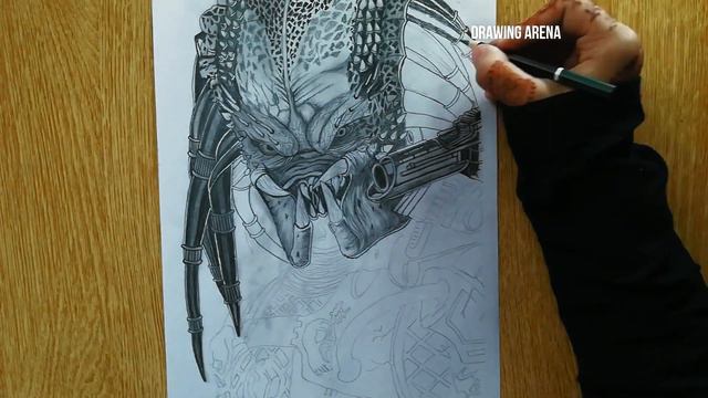 Predator Drawing | How To Draw Predator | Timelapse Drawing | Prey | Drawing Arena