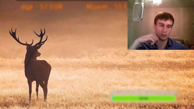 БЫВШАЯ хочет,чтобы бегал и ПРОВОЦИРУЕТ ЦВЕТАМИ смотреть онлайн