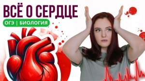 СТРОЕНИЕ СЕРДЦА И КРУГИ КРОВООБРАЩЕНИЯ ДЛЯ ОГЭ ПО БИОЛОГИИ