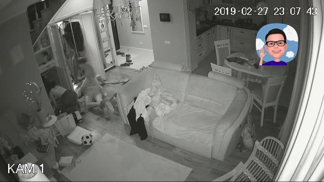 Пропал хомяк, семейный поиск смотреть онлайн