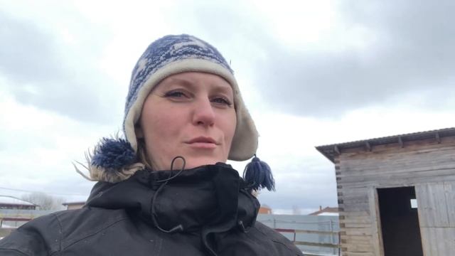 Жизнь с конями на даче. Куда девать плохое сено. Сметаем в кучу смотреть онлайн
