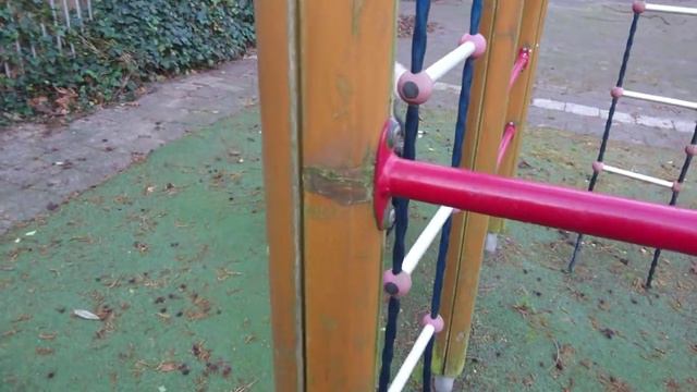 Хитрожопый маламут