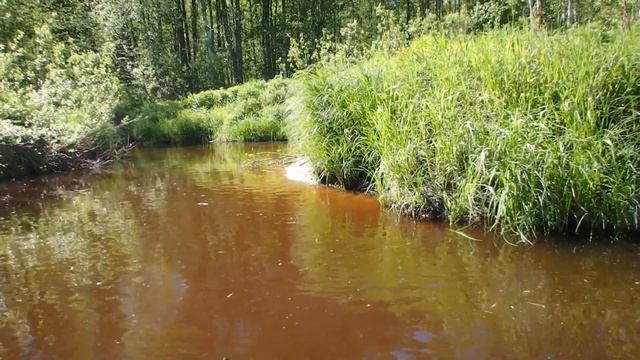 Покатушки на супер малую речку урочище Топольки.