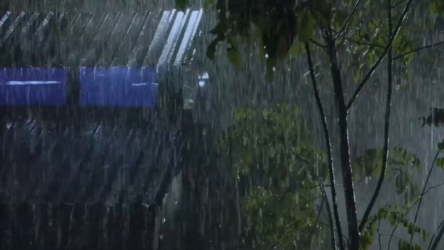⚡Powerful Thunderstorm Rain Sounds for Sleeping Heavy Rainstorm & Very Strong Thunder смотреть онлайн