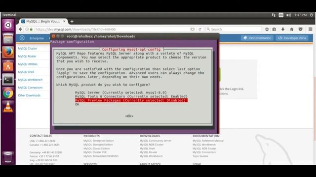 Install MySQL 8.0 on Ubuntu 16.04 смотреть онлайн