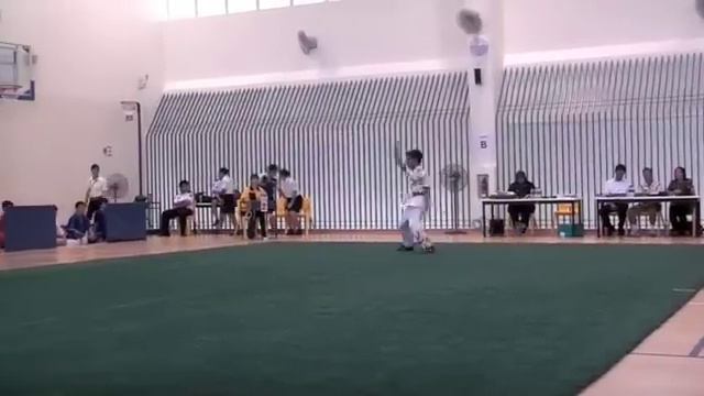 Wushu 8 Apr 2 Intl Nanquan Abel Tan 8 56 смотреть онлайн
