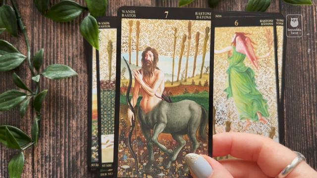 Botticelli Tarot / Таро Ботичелли — обзор за 7 минут смотреть онлайн